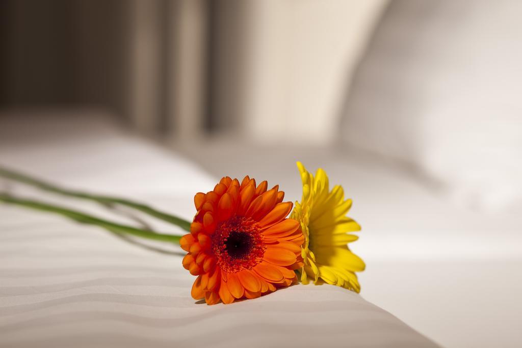 Dahlia Inn Prága Kültér fotó