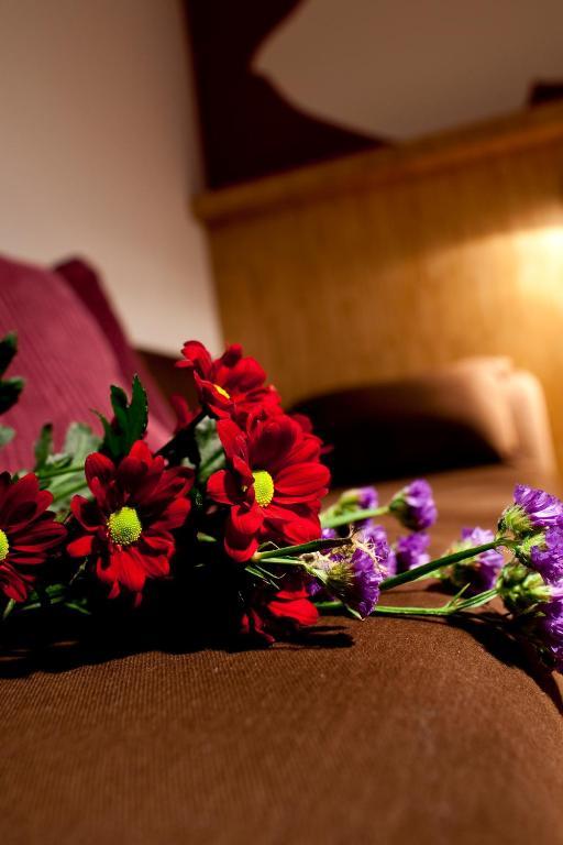 Dahlia Inn Prága Szoba fotó